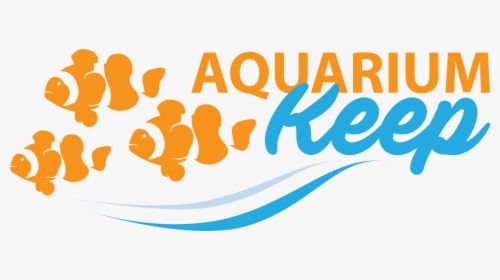 "setup Your Fish Tank Or Aquarium Today - Graphic Design, HD Png Download, Free Download