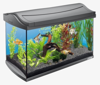 Aquarium Background Transparent - Tetra Aquaart 60l, HD Png Download, Free Download