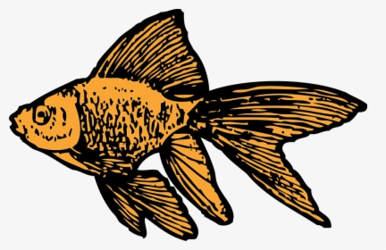 Goldfish, Aquarium, Tank, Water, Gold, Fish, Aquatic - Goldfish Clip Art, HD Png Download, Free Download