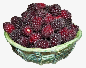 Transparent Blackberries Png - Boysenberry, Png Download, Free Download