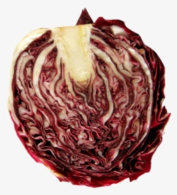 Radicchio Transparent, HD Png Download, Free Download