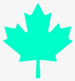 Wbp Maple Leaf - Red Canadian Maple Leaf, HD Png Download, Free Download