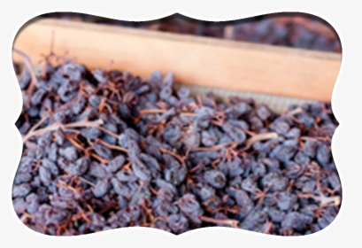 Home Raisins Design - Wood, HD Png Download, Free Download