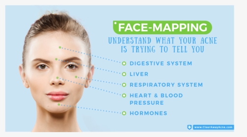 Forehead Acne Face Map, HD Png Download, Free Download