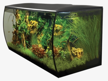 Aquarium Aquarium,plant,aquarium Lighting,aquatic Plant - Fluval Flex 32.5 Gallon, HD Png Download, Free Download
