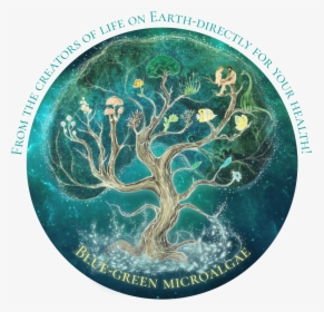 Tree Of Life - Tree, HD Png Download, Free Download