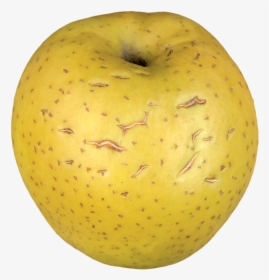 Granny Smith, HD Png Download, Free Download