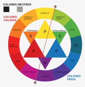 01 Elegir El Color De Marca - Colour Wheel, HD Png Download, Free Download