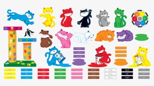 Color Cats Bulletin Board, HD Png Download, Free Download