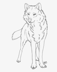 Gray Wolf Line Art Drawing Painting Sketch - Wolf Drawing Line Art, HD Png Download, Free Download