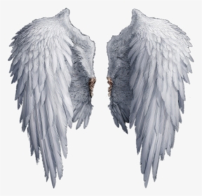 Stock Photography Drawing Clip Art - Transparent Angel Wings Png, Png Download, Free Download