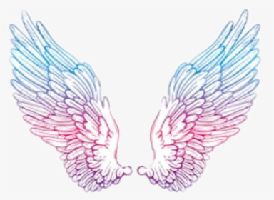 #angelwings #wings #angel #blue #pink #purple #tumblr - Pink And Blue Angel Wings, HD Png Download, Free Download
