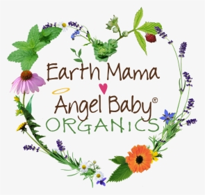 Earth Mama Logo - Earth Mama Angel Baby Logo, HD Png Download, Free Download