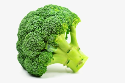 1 Piece Of Broccoli - Brocoli Png, Transparent Png, Free Download