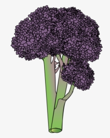 Bouquet, HD Png Download, Free Download