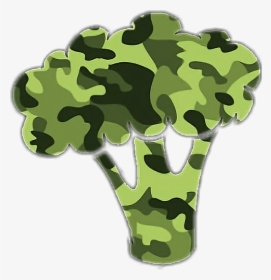 Free Download Teambrocoli Desktop Wallpaper Camouflage - North Face Camo Background, HD Png Download, Free Download