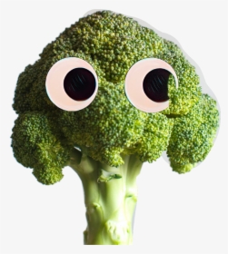 #googlyeyes #contest #byminty #brocoli - Broccoli Deku, HD Png Download, Free Download