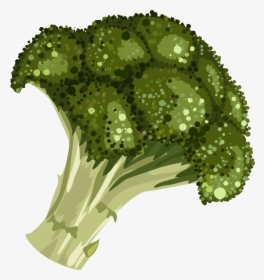 Transparent Broccoli Clipart Black And White - Cartoon Drawing Of A Broccoli, HD Png Download, Free Download
