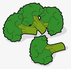 Transparent Brocoli Png - Broccoli, Png Download, Free Download