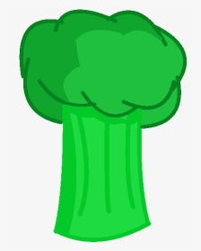 Broccoli Photo - Object Show Community Assets, HD Png Download, Free Download