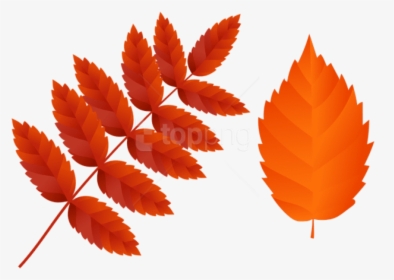 Download Two Dark Orange Fall Leaves Clipart Png Photo - Free Fall Leaves Png, Transparent Png, Free Download