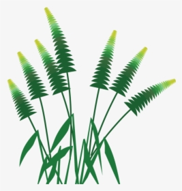 Forest Palm Tree Grass, Forest, Palm, Tree Png And - กรอบ รูป ป่า ไม้ .png, Transparent Png, Free Download