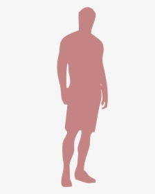 Average Human Height Transparent, HD Png Download, Free Download