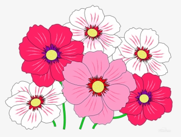 Colorful Flowers Png, Transparent Png, Free Download