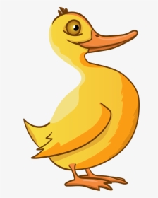 Duck, Animals, Animated, Funny, Birds - Duck, HD Png Download, Free Download