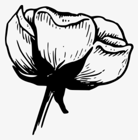 Flowers Black And White Png - Black And White Art Flowers, Transparent Png, Free Download