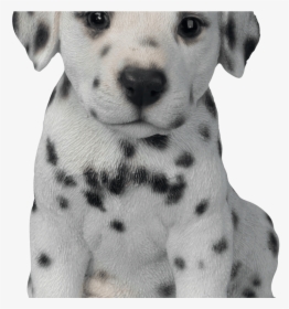 Transparent Cute Puppies Png - Dalmatian Puppy Png, Png Download, Free Download