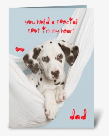 For Special Dad Dalmatian Card Greeting Card - Dalmatian, HD Png Download, Free Download