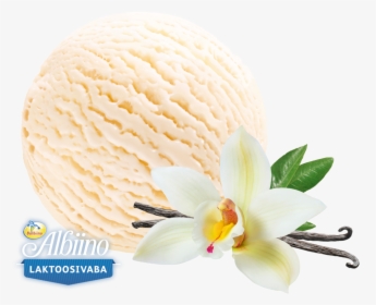 Lactose Free Vanilla Ice Cream - Artificial Flower, HD Png Download, Free Download