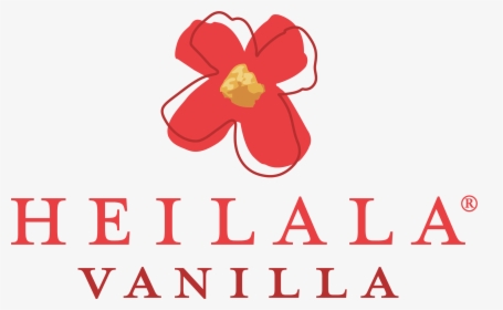 Heilala Vanilla Clipart , Png Download - Heilala, Transparent Png, Free Download