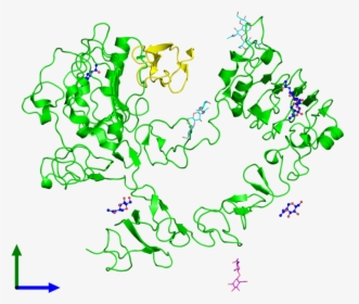 Molecules Png Hd - Human Epidermal Growth Factor Molecular, Transparent Png, Free Download