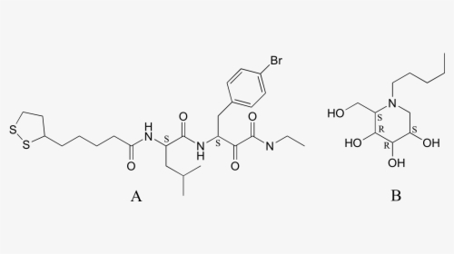 Image238 - Leucine Enkephalin, HD Png Download, Free Download