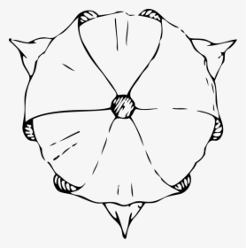 Tulip, Top, View, Flower, Art Deco, Art Nouveau - Tulip From The Top Drawing, HD Png Download, Free Download