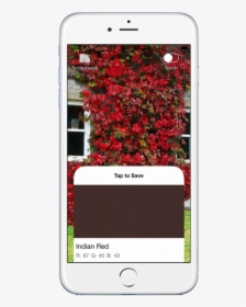 App Preview - Iphone, HD Png Download, Free Download