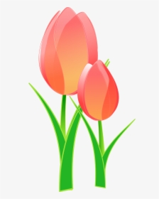 Tulips Clip Art, HD Png Download, Free Download