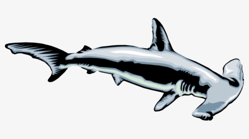 Transparent Mako Shark Clipart - Clip Art Hammerhead Shark, HD Png Download, Free Download