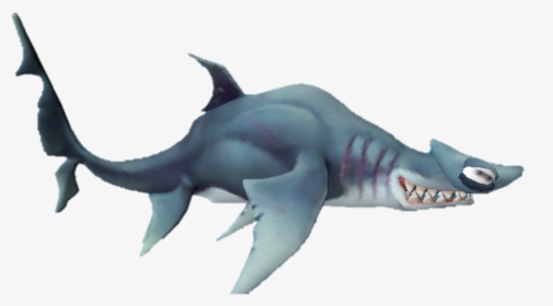 Hammerhead Shark Png , Png Download - Requiem Shark, Transparent Png, Free Download