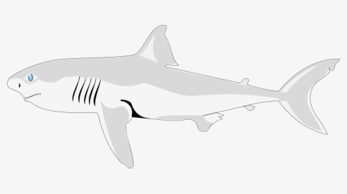 Shark Clipart Black Background, HD Png Download, Free Download