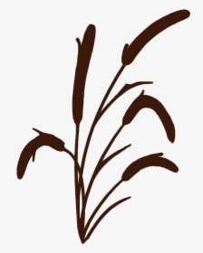 River Reed, HD Png Download, Free Download