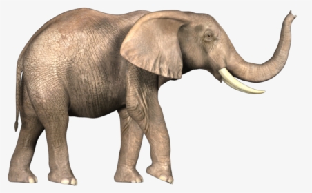 Noose Png -noose Png - Bahubali Elephant 4k, Transparent Png, Free Download