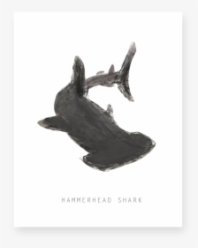 Hammerhead - Killer Whale, HD Png Download, Free Download