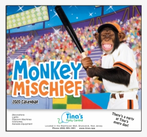 Picture Of Monkey Mischief Wall Calendar - Calendar, HD Png Download, Free Download