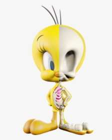 Tweety Xxray 8inch, HD Png Download, Free Download