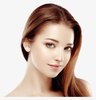 The Beauty & Brow Parlour, HD Png Download, Free Download