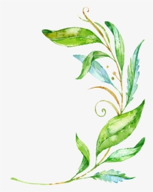 Watercolor Branch Png - Png Green Leaves Vector, Transparent Png, Free Download