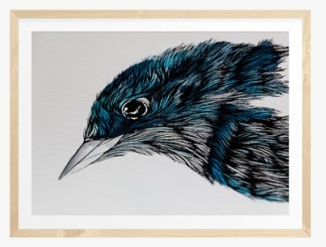 Starling, HD Png Download, Free Download